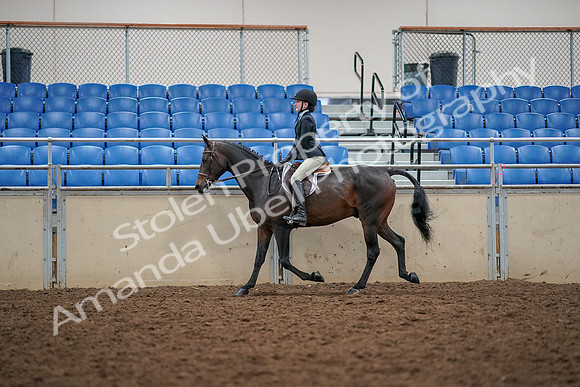 2019 Morgan Horse Show - Aug 30, 2019 - 23134