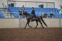 2019 Morgan Horse Show - Aug 30, 2019 - 15287