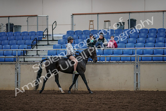 2019 Morgan Horse Show - Aug 30, 2019 - 31393