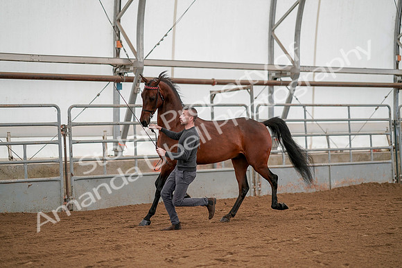 July 19, 2019 - 1176