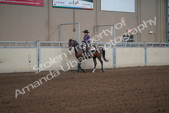 2019 Morgan Horse Show - Aug 31, 2019 - 10575