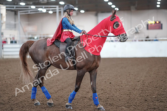 2019 Morgan Horse Show - Aug 31, 2019 - 10003