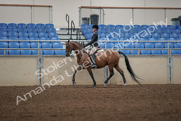 2019 Morgan Horse Show - Aug 31, 2019 - 04968