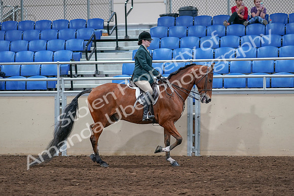 2020 - AB Morgan Horse - Sat, Sept 05 - 05190