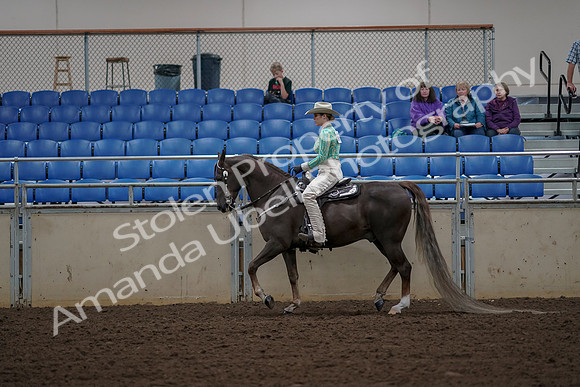 2019 Morgan Horse Show - Aug 30, 2019 - 25960