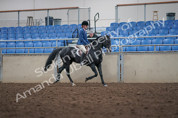 2019 Morgan Horse Show - Aug 31, 2019 - 16703