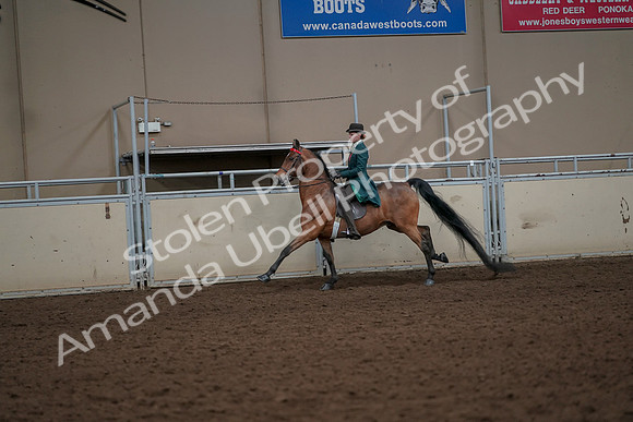 2019 Morgan Horse Show - Aug 30, 2019 - 28004