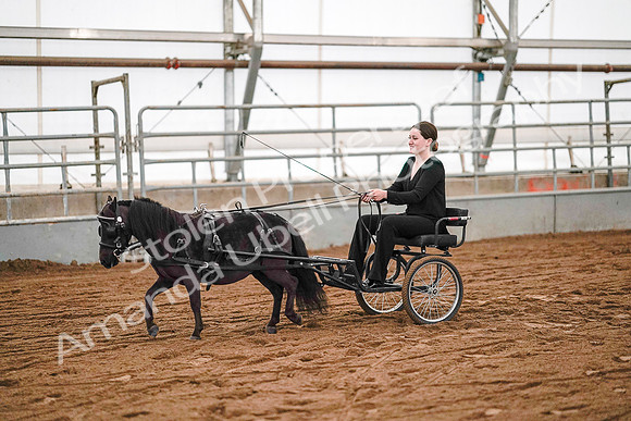 July 19, 2019 - 7003
