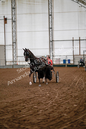 July 19, 2019 - 6696