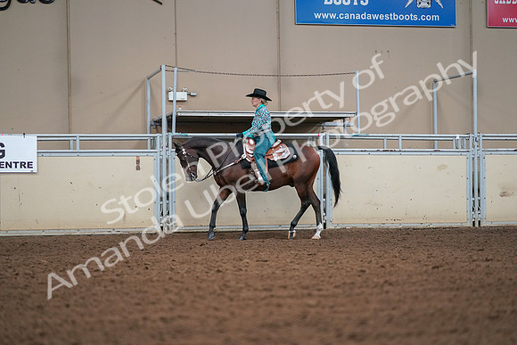 2019 Morgan Horse Show - Aug 30, 2019 - 16801