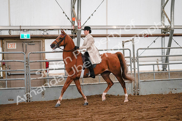 July 19, 2019 - 9029