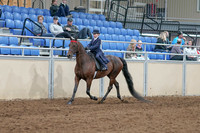 2020 - AB Morgan Horse - Sat, Sept 05 - 04756
