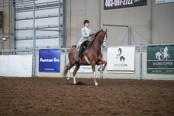 Spring Fling - Saturday - April 20, 2019  -  00536