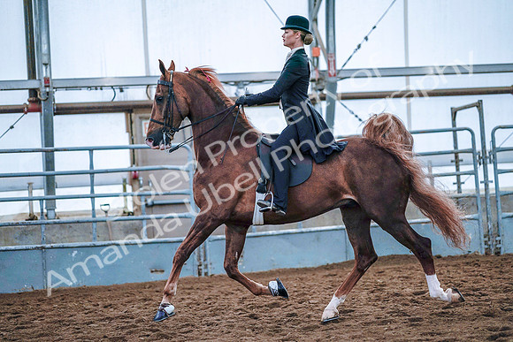 July 20, 2019 - 23911
