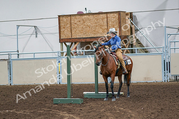 2020 - AB Morgan Horse - Fri, Sept 04 - 00129