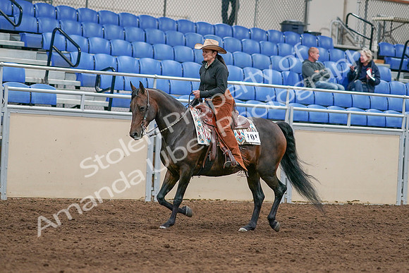 2020 - AB Morgan Horse - Sun, Sept 06 - 01600