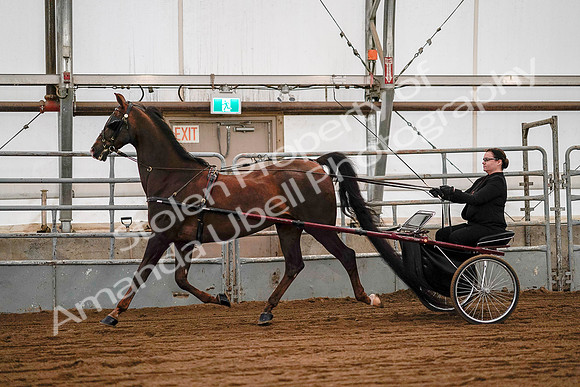 July 19, 2019 - 7042