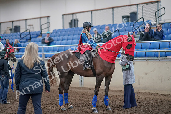 2019 Morgan Horse Show - Aug 31, 2019 - 10143