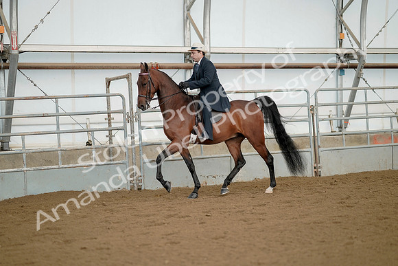 July 21, 2019 - 01543