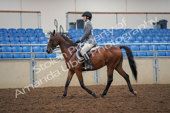 2019 Morgan Horse Show - Aug 30, 2019 - 23206