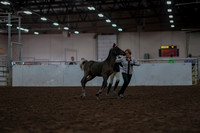 2019 Morgan Horse Show - Aug 31, 2019 - 03553