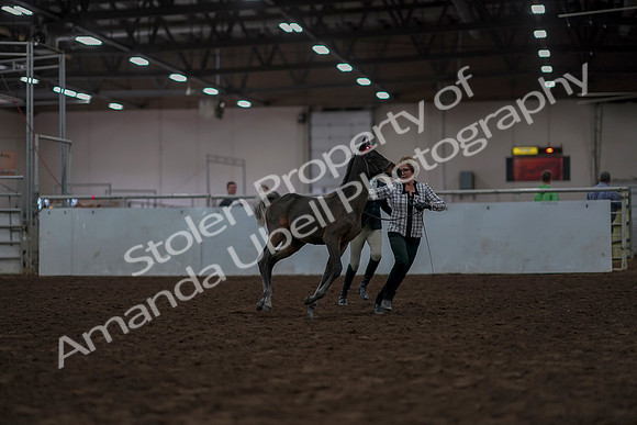 2019 Morgan Horse Show - Aug 31, 2019 - 03553