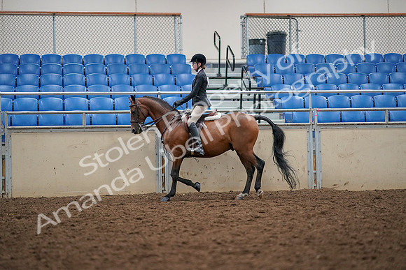 2019 Morgan Horse Show - Aug 30, 2019 - 23141