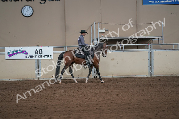 2019 Morgan Horse Show - Aug 31, 2019 - 06193