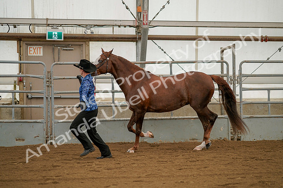 July 19, 2019 - 1292