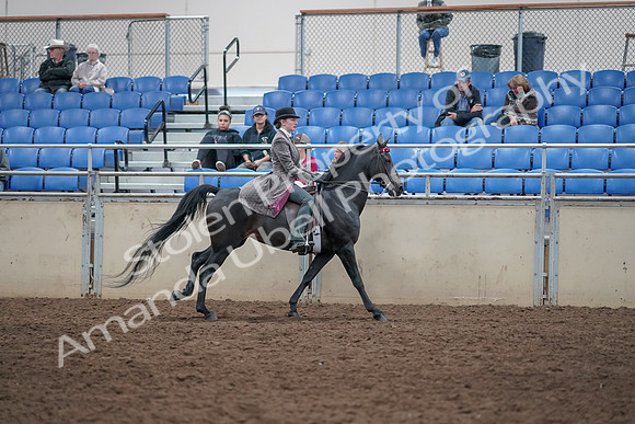2019 Morgan Horse Show - Aug 31, 2019 - 09718