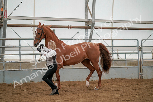 July 19, 2019 - 1348