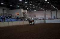 Class 073 - All Breed Showmanship 13 & Under