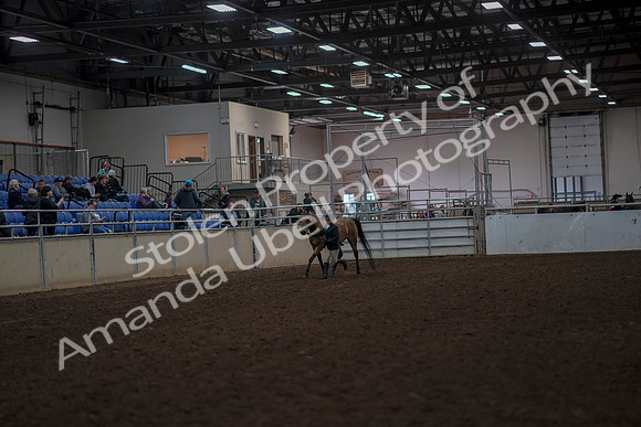 2019 Morgan Horse Show - Aug 31, 2019 - 01478
