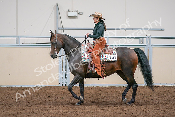 2020 - AB Morgan Horse - Sun, Sept 06 - 01571