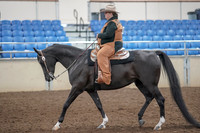 2019 Morgan Horse Show - Aug 31, 2019 - 06031