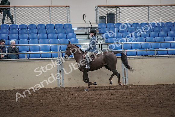 2019 Morgan Horse Show - Aug 31, 2019 - 05047