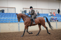 2019 Morgan Horse Show - Aug 30, 2019 - 29206