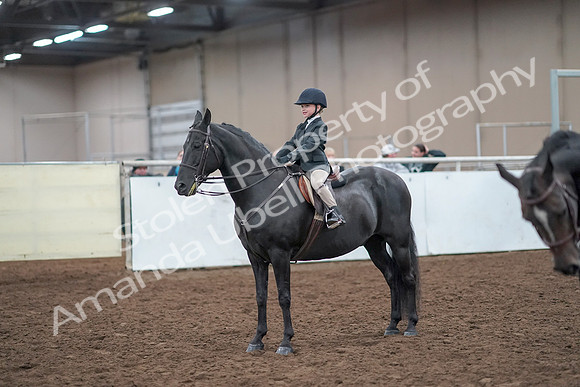2019 Morgan Horse Show - Aug 31, 2019 - 19720