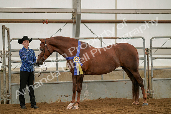July 19, 2019 - 1440