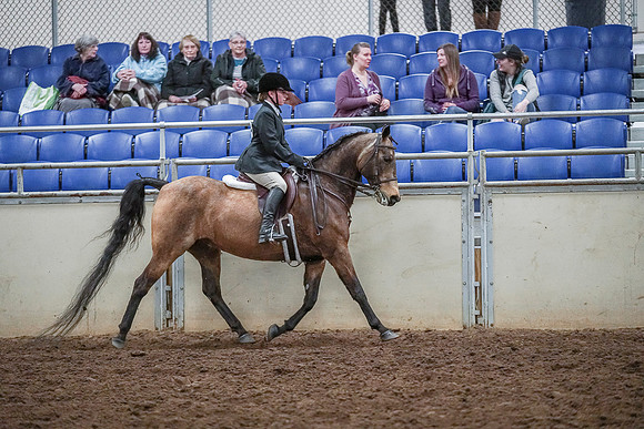 Spring Fling - Saturday - April 20, 2019  -  03847