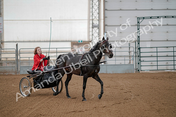July 20, 2019 - 00163