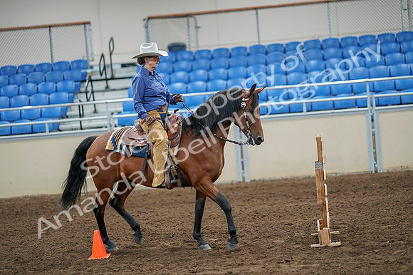 2020 - AB Morgan Horse - Fri, Sept 04 - 00287
