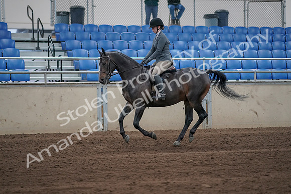 2019 Morgan Horse Show - Sept 01, 2019 - 10963