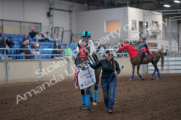 2019 Morgan Horse Show - Aug 31, 2019 - 09969