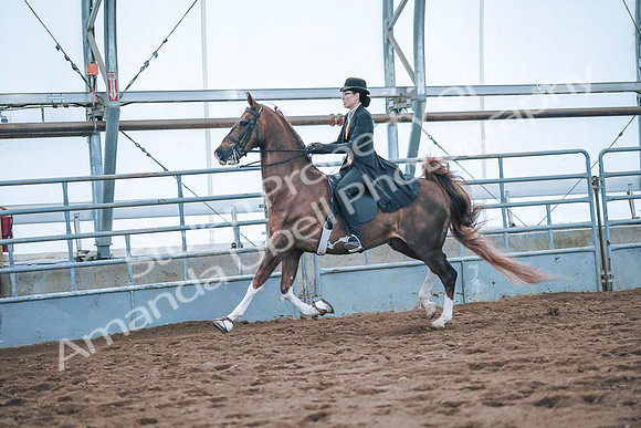 July 20, 2019 - 24142