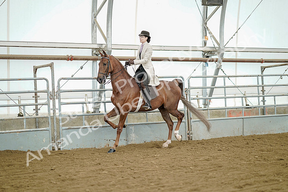 July 20, 2019 - 07838
