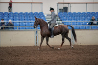 2019 Morgan Horse Show - Aug 31, 2019 - 07146