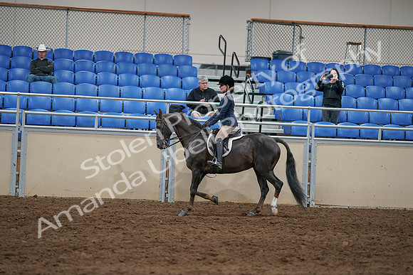 2020 - AB Morgan Horse - Sun, Sept 06 - 07756
