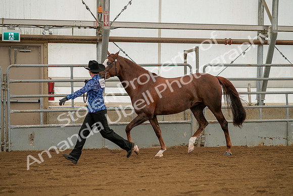 July 19, 2019 - 1288