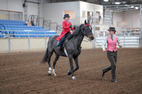 2019 Morgan Horse Show - Sept 01, 2019 - 10682
